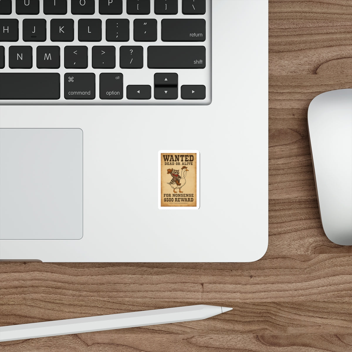 Raccoon and Goose Sticker, Raccoon Sticker, Funny sticker