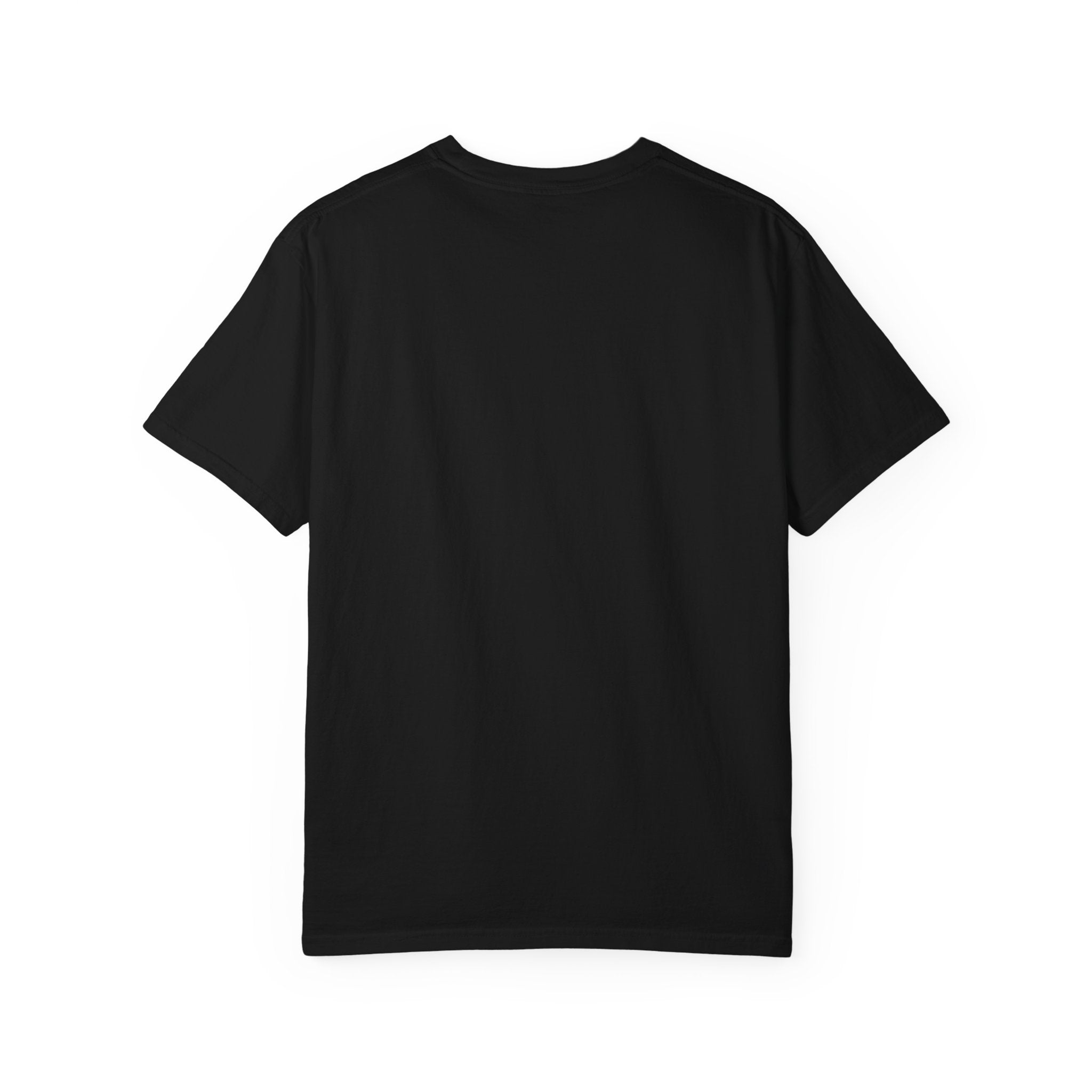 New Mexico Hot Air Balloon T-Shirt, Casual Tee, Travel Apparel, Gift for Adventurers, Summer Outfit, Vacation Shirt
