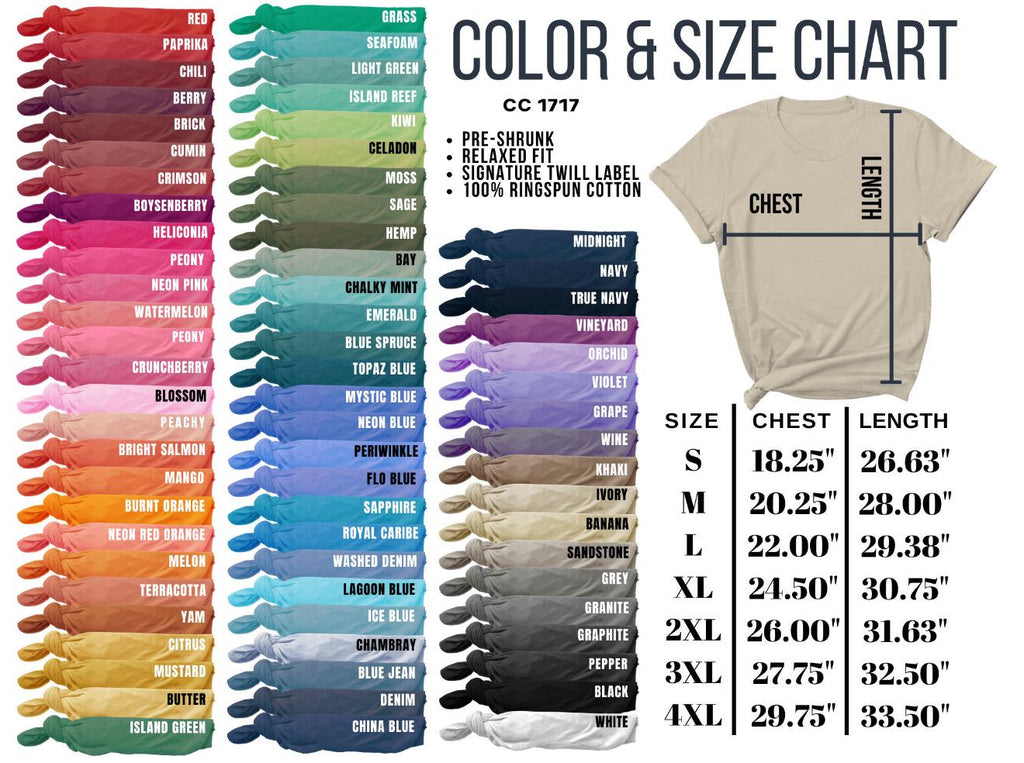 America T-Shirt, Dog Tee, USA Dog shirt