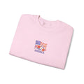 Embroidered USA Sweatshirt, Patriotic Crewneck Sweatshirt, Cozy, American Flag Design