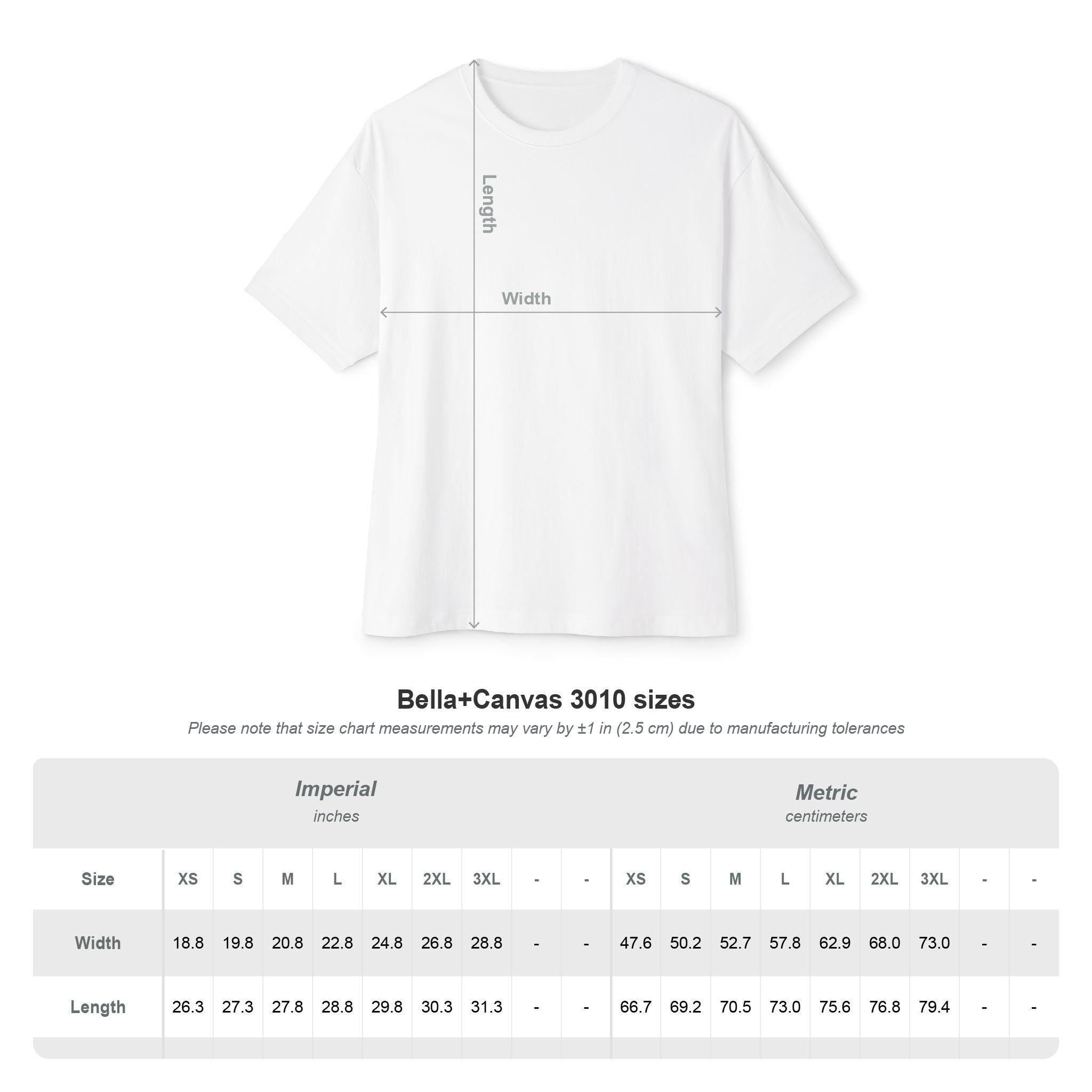 Oversized Boxy Tee, New Mexico Graphic T-Shirt